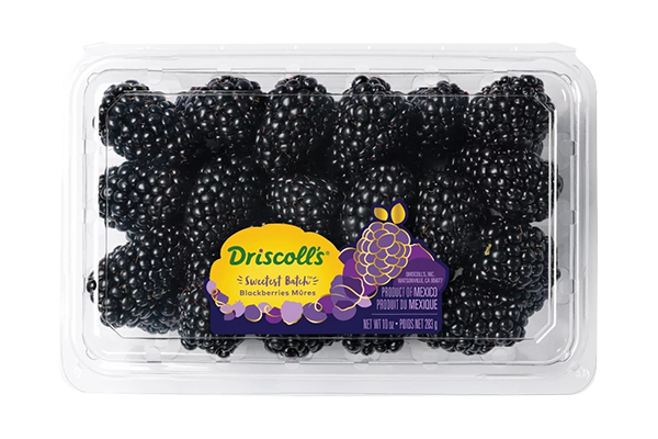 Bold and lusciously flavored with a smooth and velvety texture, Sweetest Batch™ Blackberries offer a multi-dimensional flavor experience curated through years of careful breeding selection, testing, and perfecting