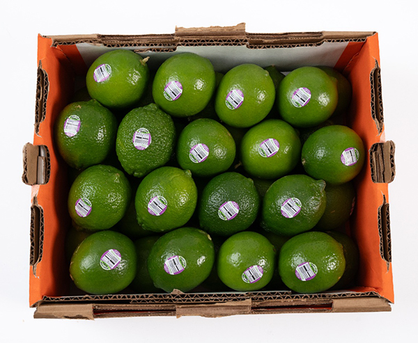 SiCar Farms is transitioning into its winter lime crop, complementing its year-round supply and supporting retailer citrus promotions focused on health and wellness at the start of the new year