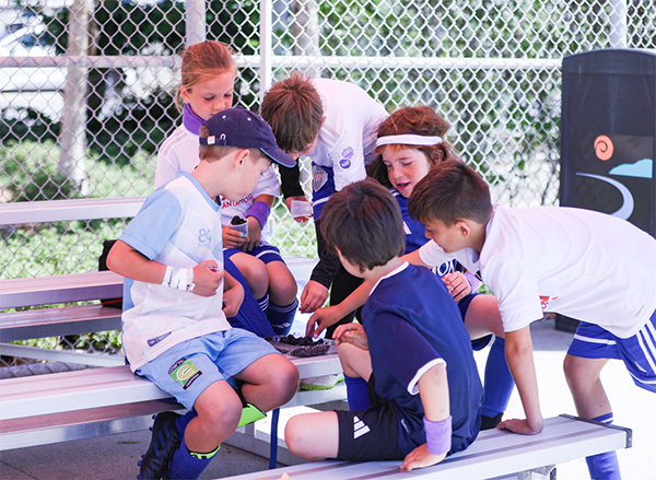 Berry Fresh is partnering with ALBION SC Santa Monica, reinforcing the company’s commitment to supporting healthy lifestyles through nutrition and movement