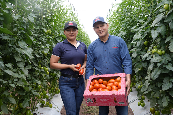 Divine Flavor wants to strengthen category penetration and deliver a consistent, premium experience to its retail partners and the consumers they support
