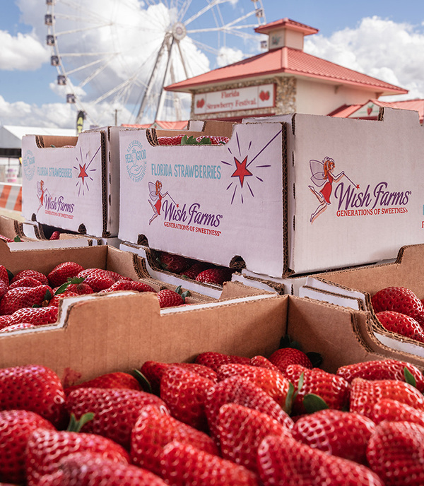 Wish Farms is pleased to announce it concluded its high-visibility participation at the 96th Florida Strawberry Festival, using the 11-day event to reinforce the quality of the 2026 Florida strawberry crop and the importance of direct consumer engagement for the industry