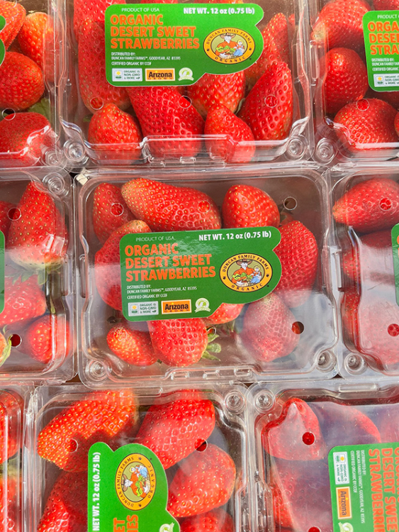 Duncan Family Farms is doubling down on its strawberry program, coming off a successful debut with starts planted