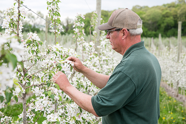 Honeybear® Brands has released its 2025 Sustainability Report, marking five years of steady and measurable progress toward its ambitious environmental goals