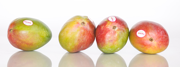 As Mexico's mango season evolves, shipments into the U.S. continue to run behind last year's pace, creating a tighter supply environment that retailers should prepare for in the weeks ahead