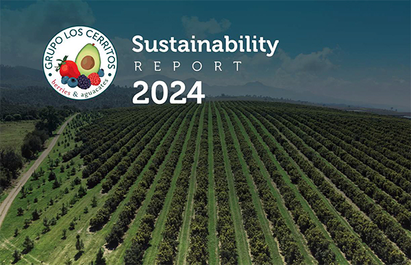 Grupo Los Cerritos proudly presents its inaugural Sustainability Report. Jalisco’s leading avocado exporter hopes this report, which discloses the impacts stemming from its operations and establishes baseline metrics, will guide the actions needed to improve its environmental, social, and governance (ESG) performance