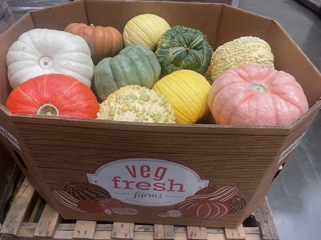In the past five years, Veg Fresh Farms' fall program has rapidly expanded into a robust and diversified offering, distinguishing itself with unique heirloom varieties and custom-tailored mix-and-match bins designed to meet evolving consumer demand