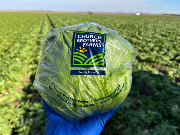 Church Brothers Farms has named Jeff Mendelsohn as Director of Foodservice Sales, further strengthening the company’s leadership team and strategic focus on foodservice distribution and national accounts