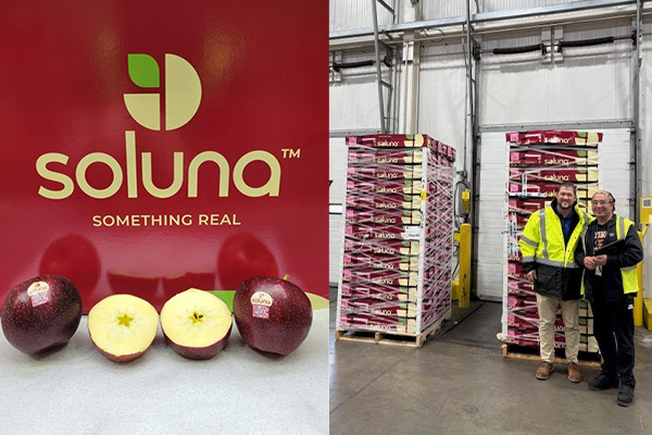The shipment of premium Soluna™ apples to the United States marks the first time the Australian-bred apple variety will be available to US consumers, bringing a new level of quality, taste, and innovation to American shelves