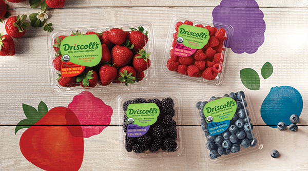 The organic segment demonstrates Driscoll’s continued promise to deliver exceptional berries while building a system that works better for people and the land