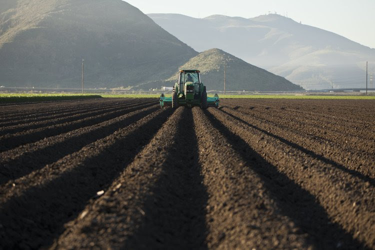 Measure to Improve outlines support for growers and companies managing new expectations around reporting, packaging regulations, and federal initiatives