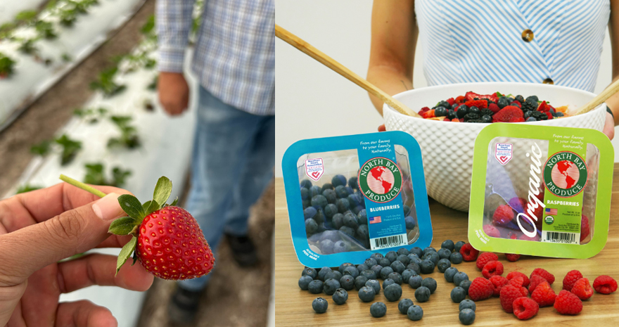 Ryan Lockman and Philip Symons explored key shifts in the U.S. and Europe berry market