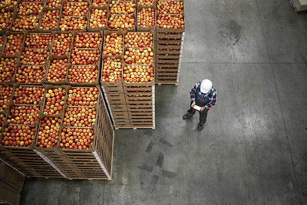 Bringing AI-powered precision to the center of the fresh supply chain, Afresh’s Fresh Buying service enables DC buyers to react quickly to inventory issues, ensuring they ship only the freshest produce to stores