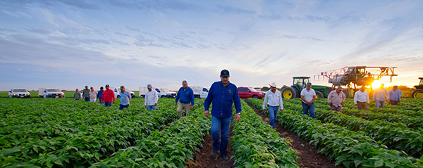 If there is one factor that sets SL apart from its peers, it is the company’s continued focus and dedication to sustainability, and crucially, soil regeneration