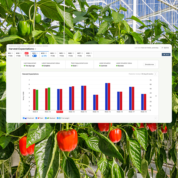 Source.ag, the data and AI platform for professional greenhouse horticulture, announced the commercial launch of Harvest Forecast for pepper cultivations