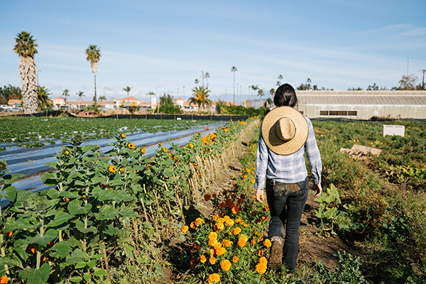 Whole Foods Market and National Young Farmers Coalition (Young Farmers) announced the launch of the Next Generation Farmer Fund