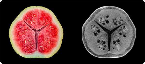 The company's solution for the fresh produce sector, Genus Echo, uses AI-powered MRI to analyze fruit all the way to the core