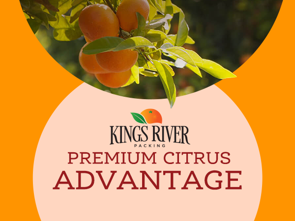 Kings Rover Packing Oranges Michelle Alo Details Kings River Packing Advantages and Benefits for ...
